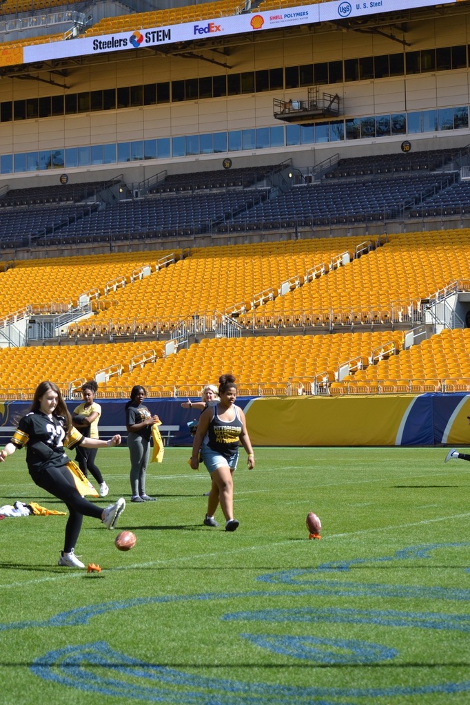 steeler stem